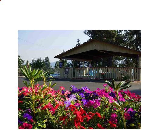 Swiss Motel 3*