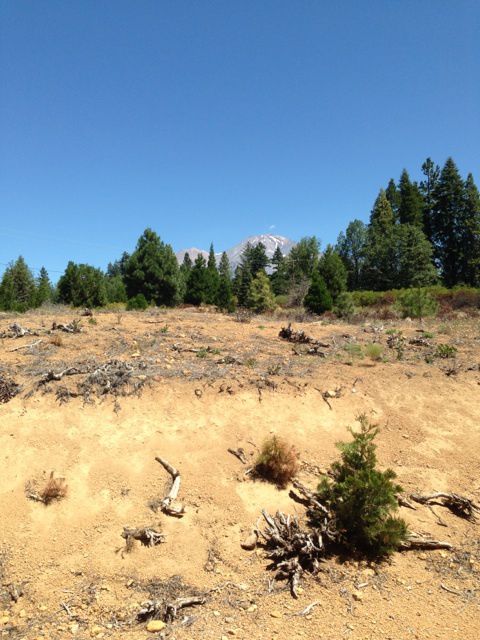Swiss 3* Mount Shasta
